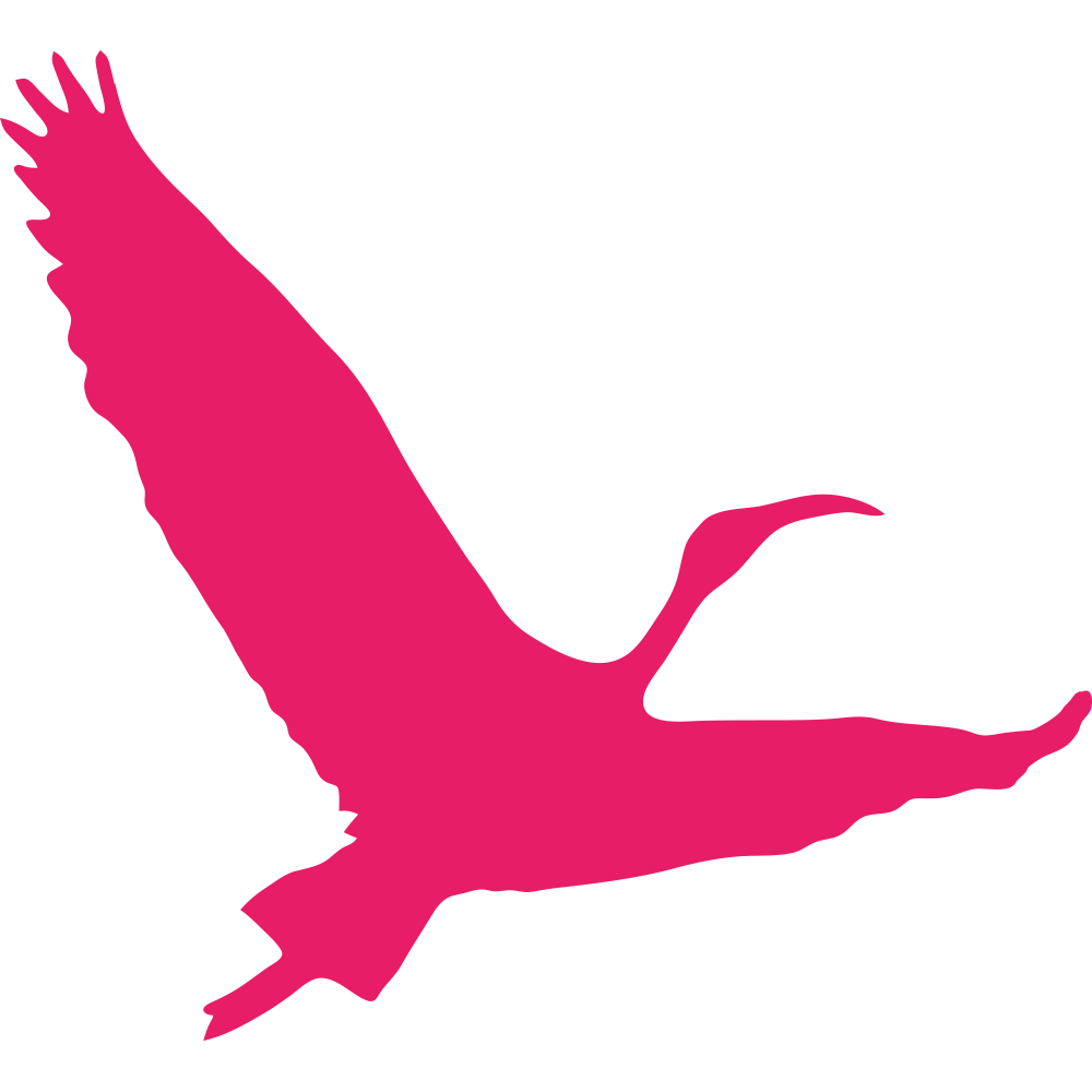 2023_ibis-IT_Logo_NEU_Ibis_q_