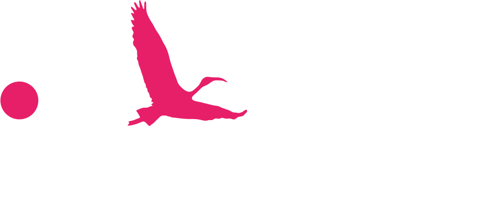 ibis-IT-2023_Logo_Varianten_001_0_a